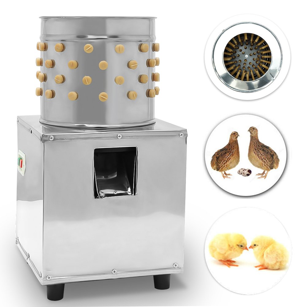 coi đá gà tre cựa sắt,Coi Đá Gà Tre Cựa Sắt: Thứ Hai Cho Tiêu Đề Bài Viết Đặc Biệt coi đá gà tre cựa sắt,Coi Đá Gà Tre Cựa Sắt: Thứ Hai Cho Tiêu Đề Bài Viết Đặc Biệt