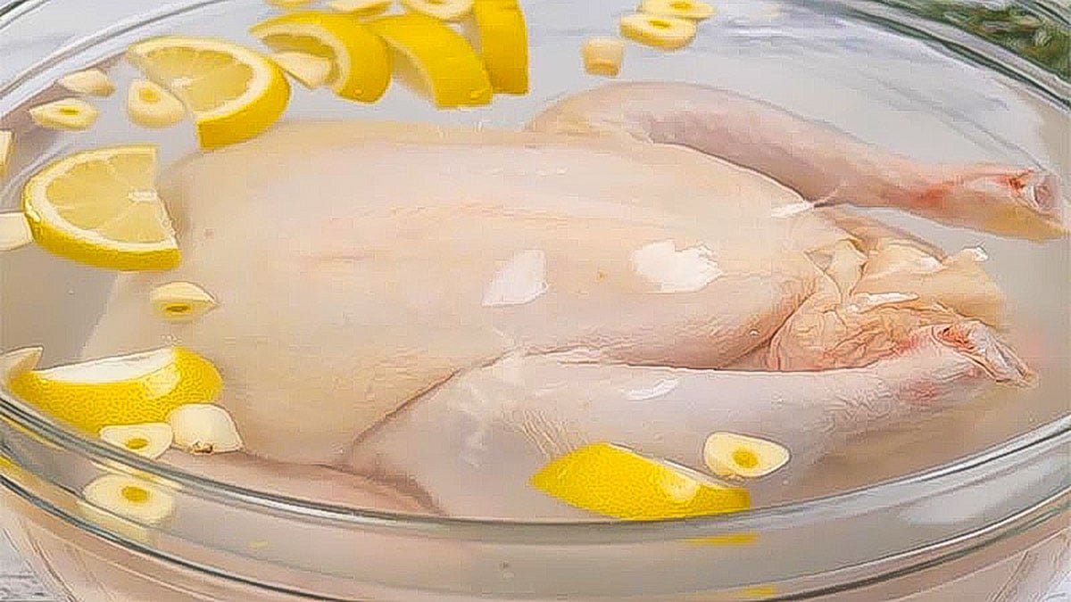 đá gà trực tiếp,Đá gà trực tiếp: Kinh nghiệm và mẹo hay cho người mới bắt đầu đá gà trực tiếp,Đá gà trực tiếp: Kinh nghiệm và mẹo hay cho người mới bắt đầu