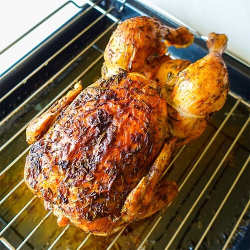 gà butcher đá cựa sắt,Giới thiệu chi tiết về gà butcher đá cựa sắt gà butcher đá cựa sắt,Giới thiệu chi tiết về gà butcher đá cựa sắt