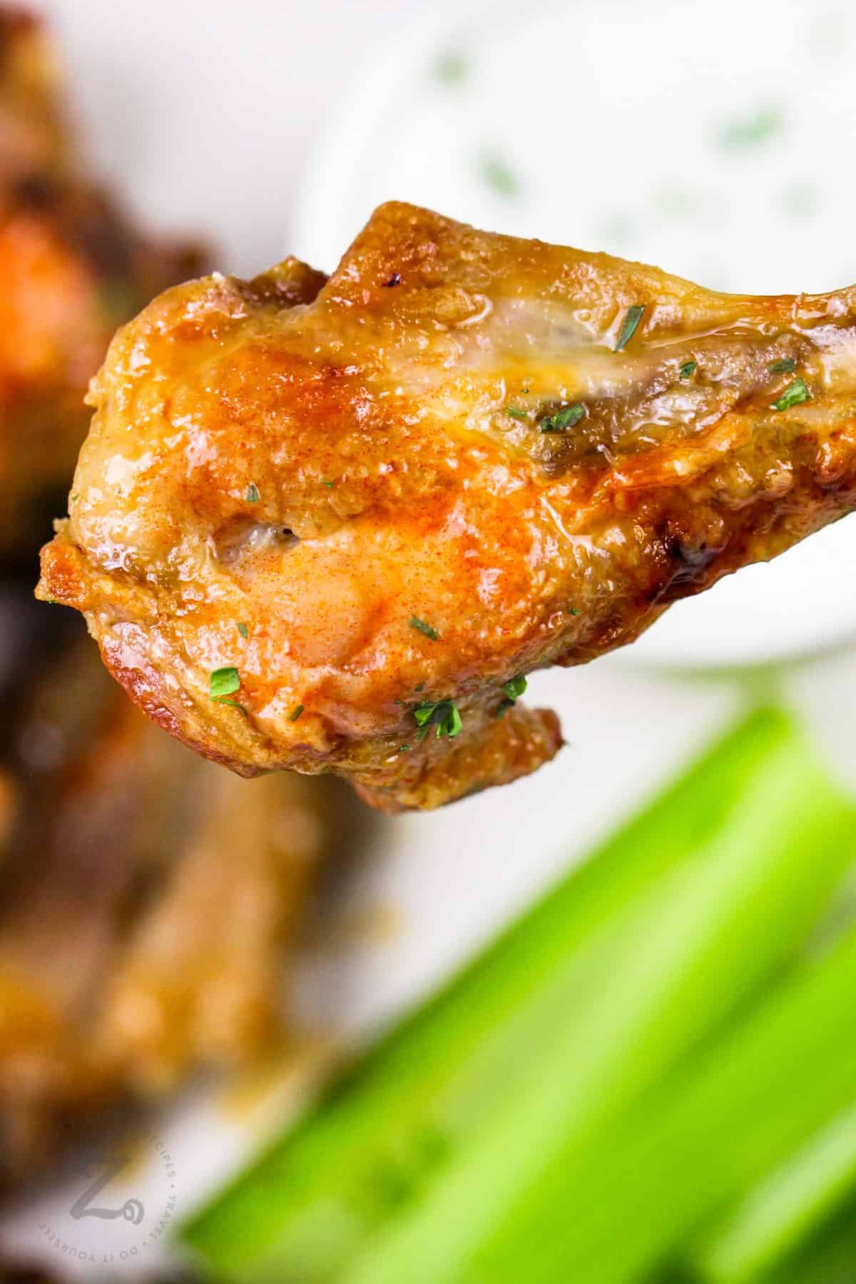 thuốc gà đá bộ lớn thuốc gà đá bộ lớn