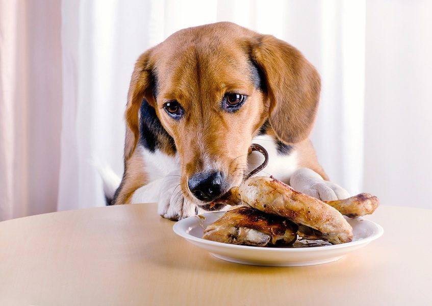 đá gà thomo ngày 10 tháng 6 năm 2019,Đá gà Thomo ngày 10 tháng 6 năm 2019: Thứ hai, một ngày đầy kịch tính đá gà thomo ngày 10 tháng 6 năm 2019,Đá gà Thomo ngày 10 tháng 6 năm 2019: Thứ hai, một ngày đầy kịch tính