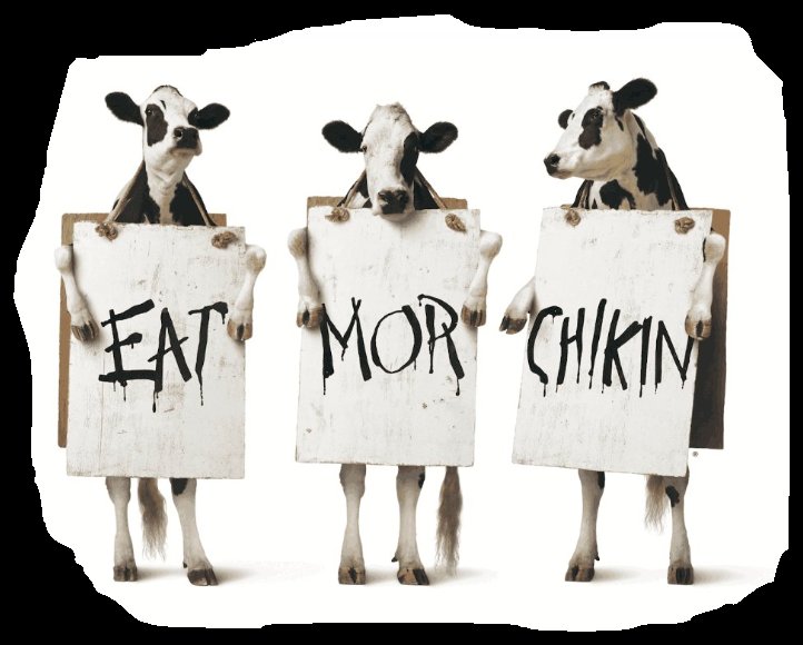 xem đá gà thomo mới nhất 2019 hôm nay,Giới Thiệu Độ C Xem Đá Gà Thomo Mới Nhất 2019 Hôm Nay Thứ Hai