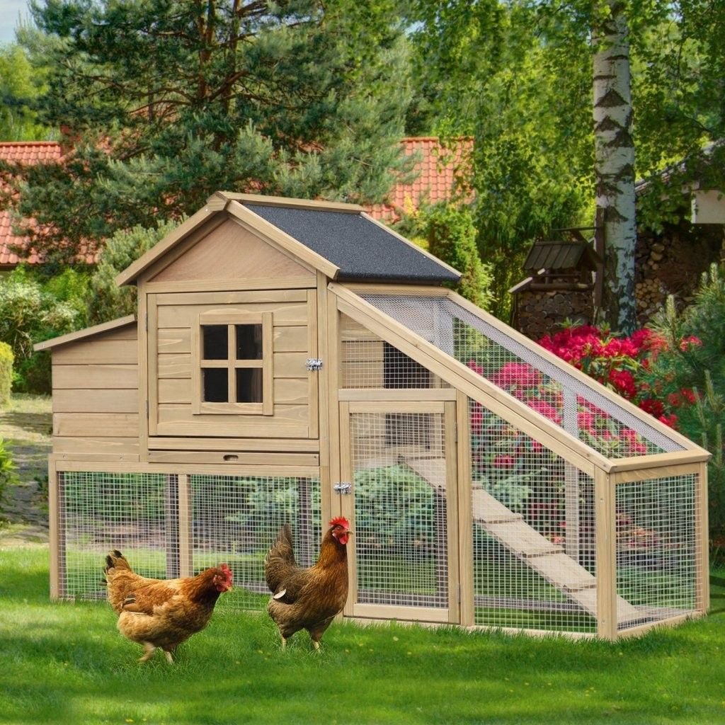 đá gà đòn đỉnh cao đá gà đòn đỉnh cao