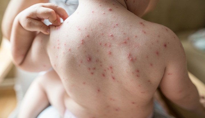 Trải nghiệm cảm giác hồi hộp với đá gà trực tiếp 999 ngay hôm nay